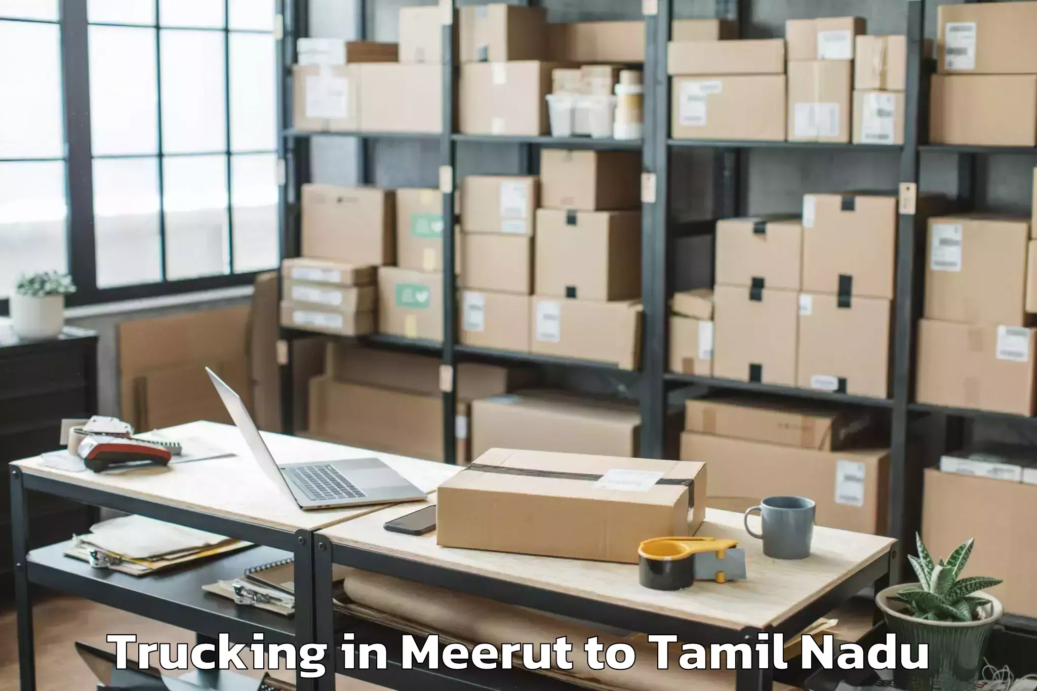 Book Meerut to Thenkasi Trucking